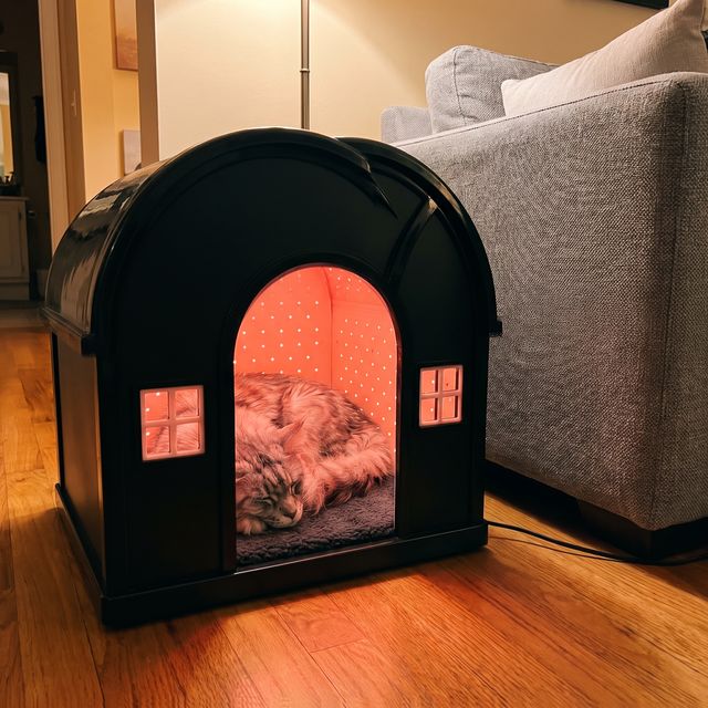 A cat resting in the glowing iMeow Cat House at home
