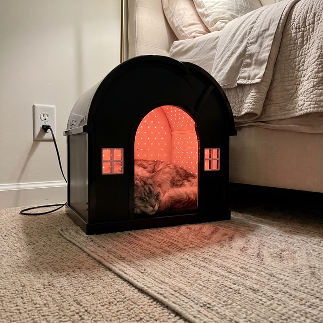 A cat resting in the glowing iMeow Cat House at home