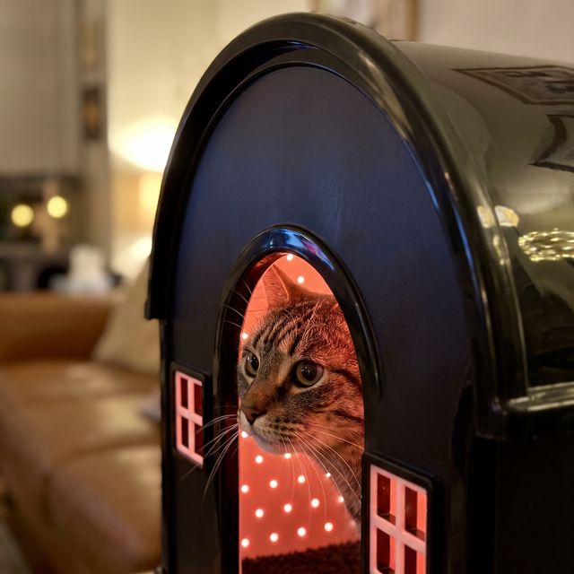 A cat resting in the glowing iMeow Cat House at home