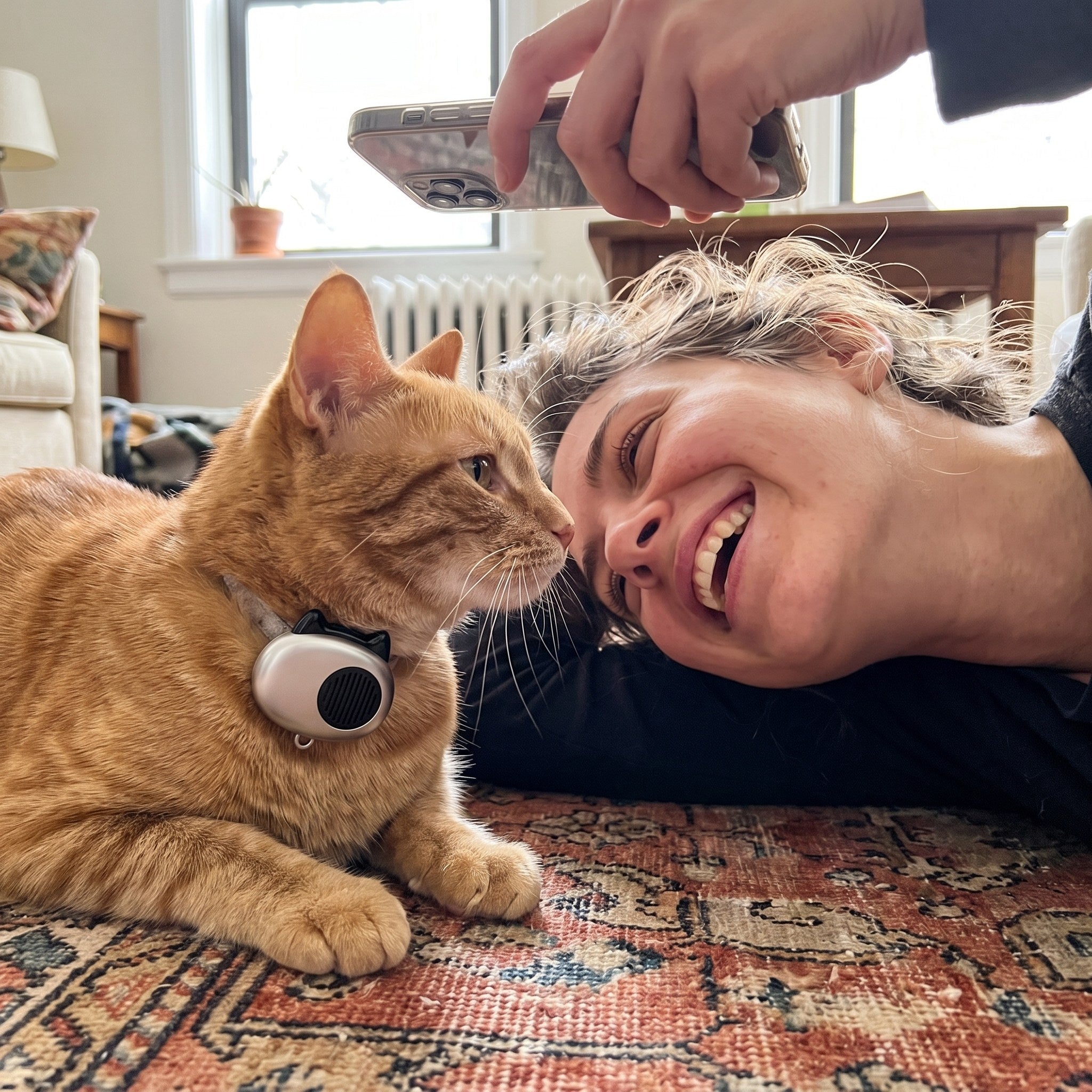 AI Translator Collar in a real cat owner's home