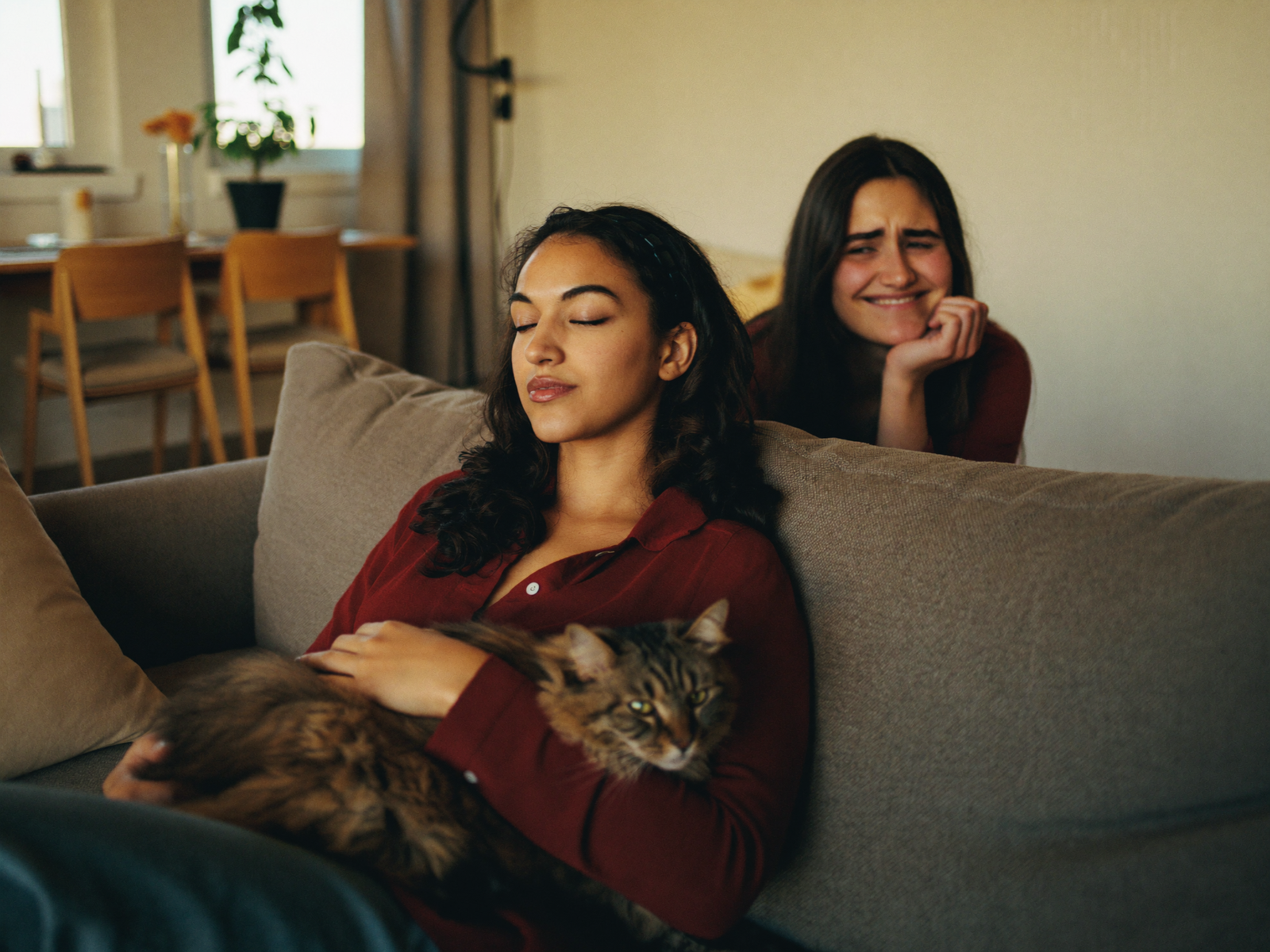 Living room with cats