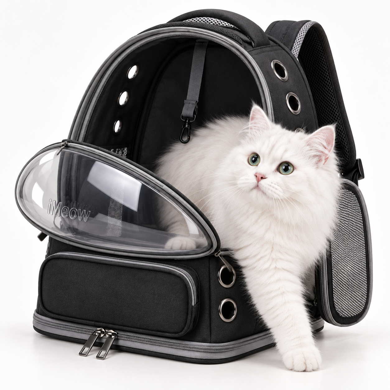 A white cat stepping out of the front bubble door