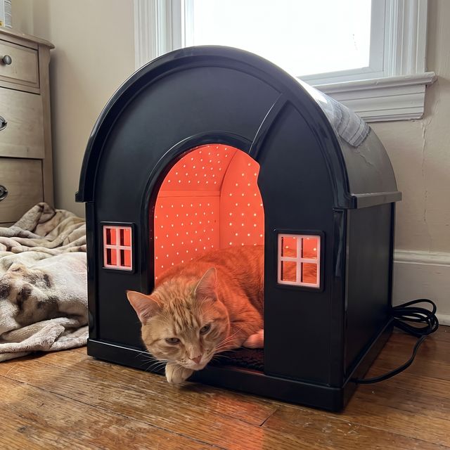 A cat resting in the glowing iMeow Cat House at home