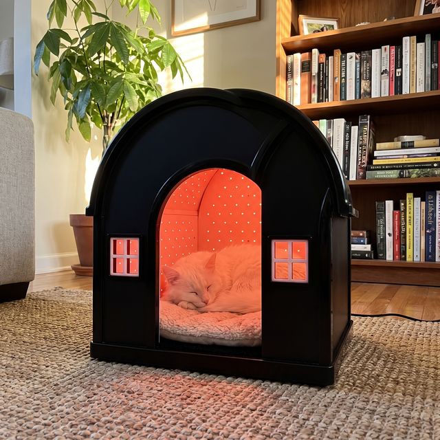 A cat resting in the glowing iMeow Cat House at home