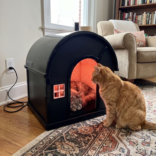 A cat resting in the glowing iMeow Cat House at home