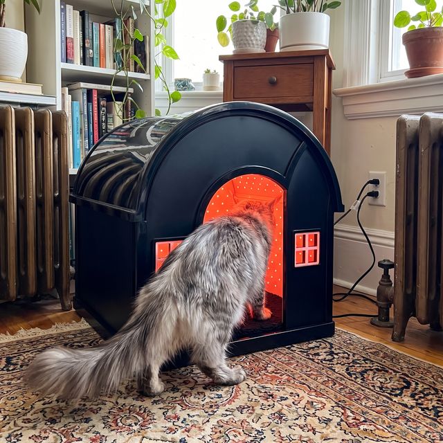 A cat resting in the glowing iMeow Cat House at home