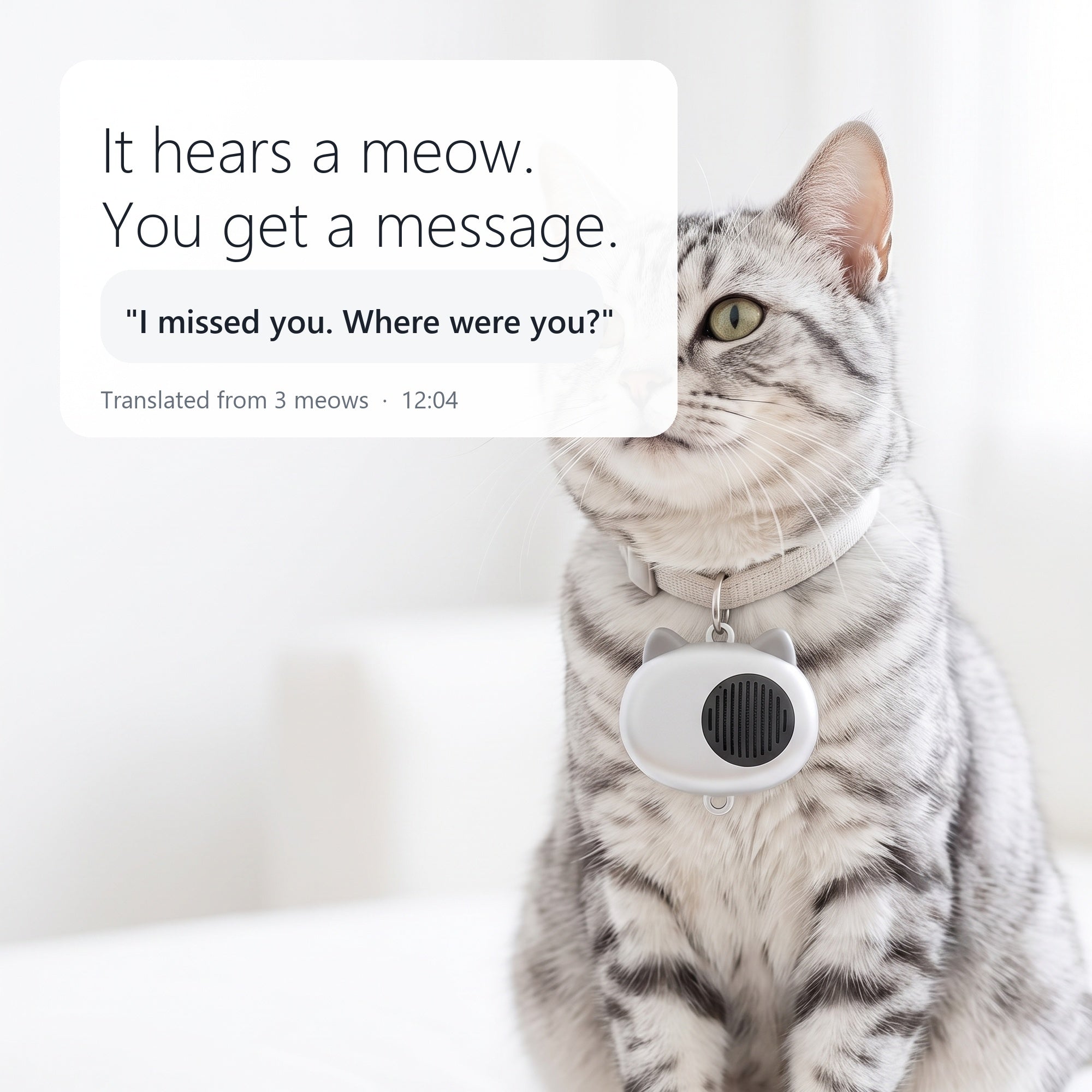 AI Translator Collar view 2