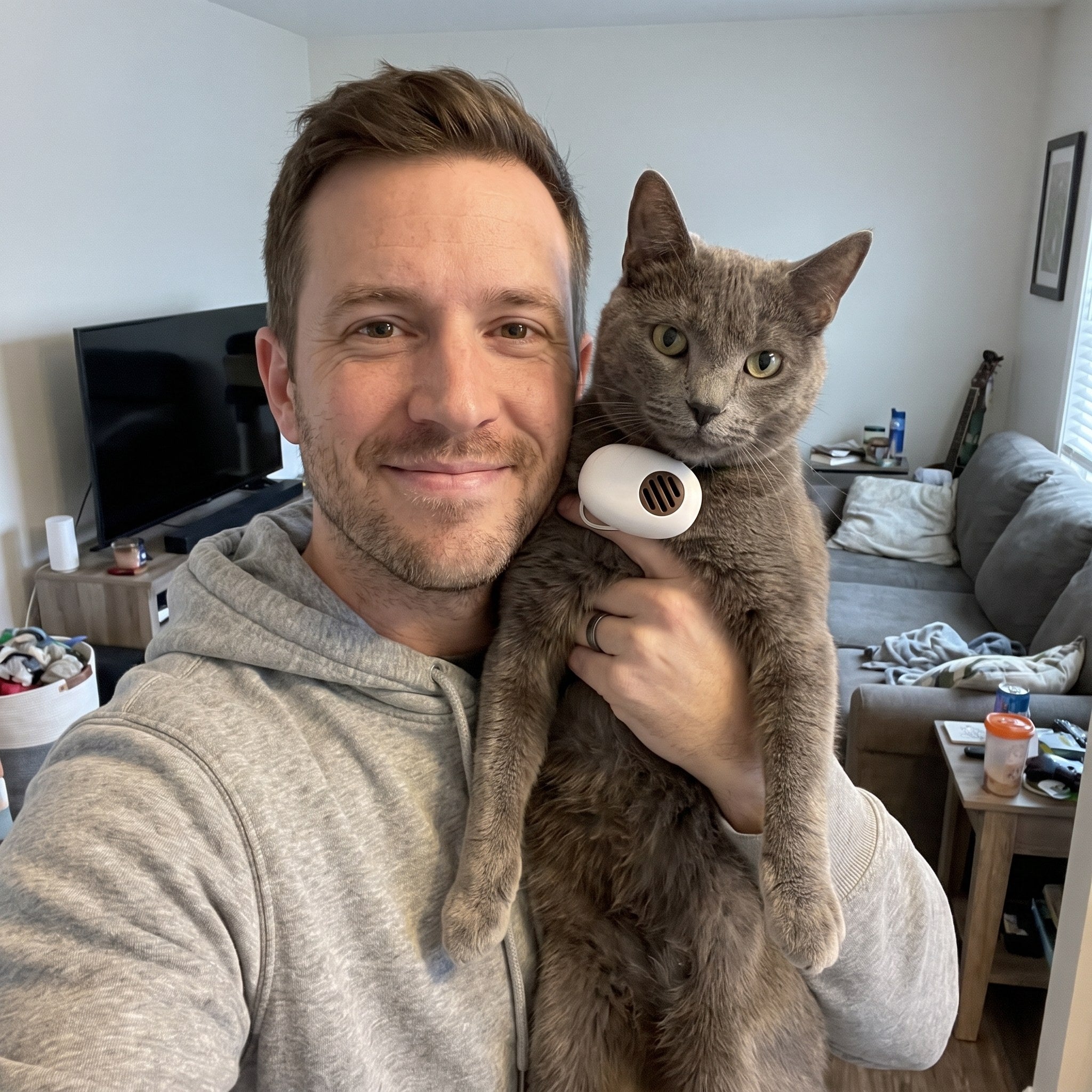 AI Translator Collar in a real cat owner's home