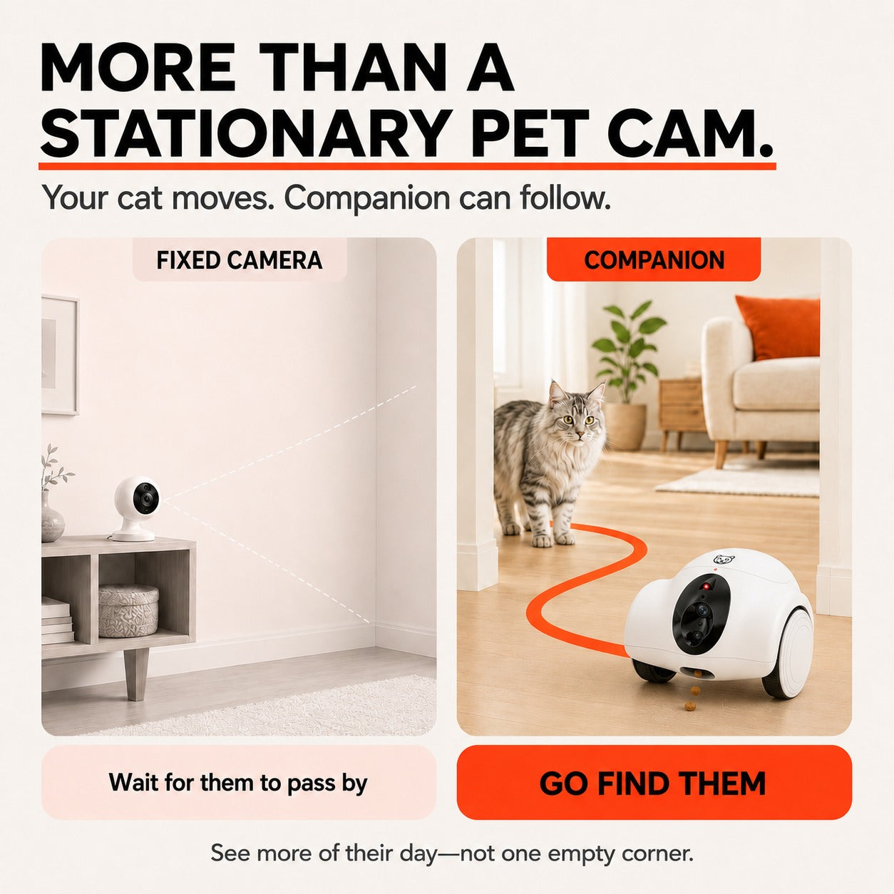 More than a stationary pet cam