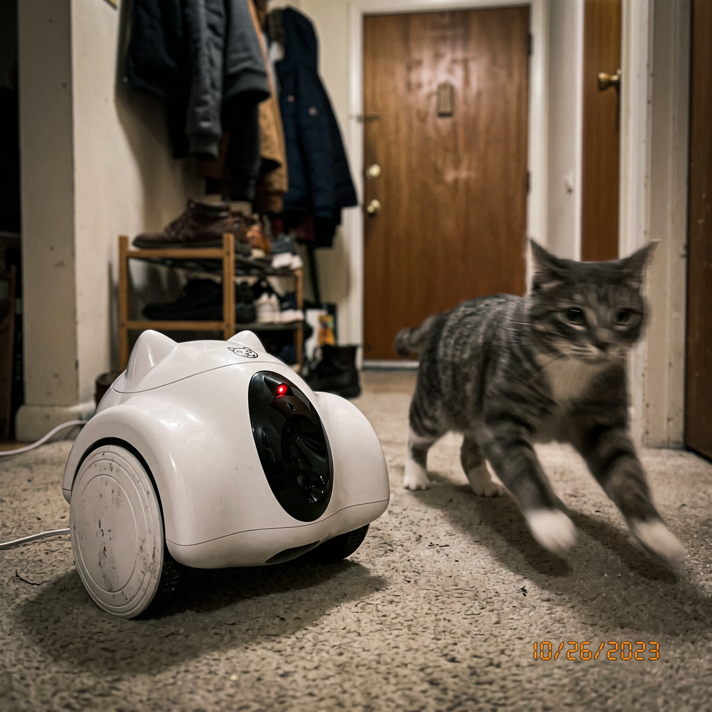 &ldquo;Cheap toys never worked. This one he's obsessed with.&rdquo; — Reid A.