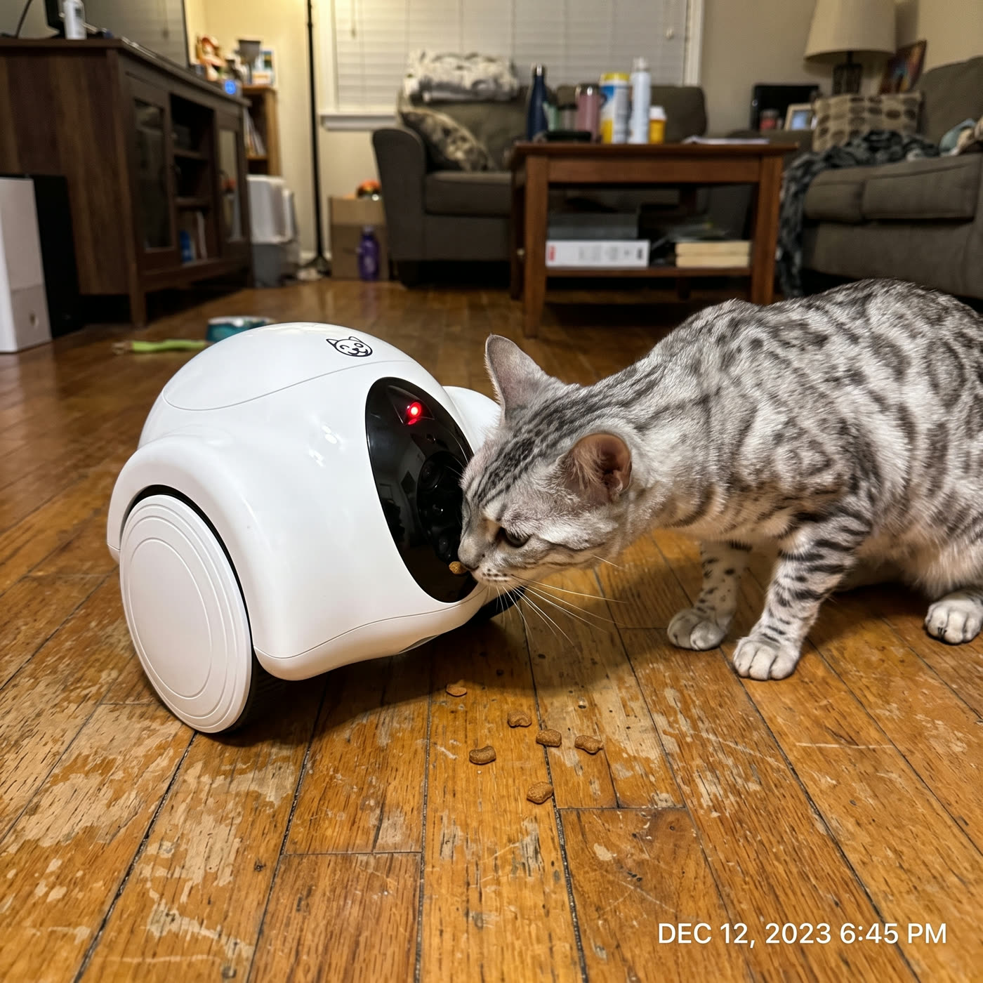 &ldquo;He sniffs it, then ambushes it. Best $199 I've spent.&rdquo; — Bianca T.