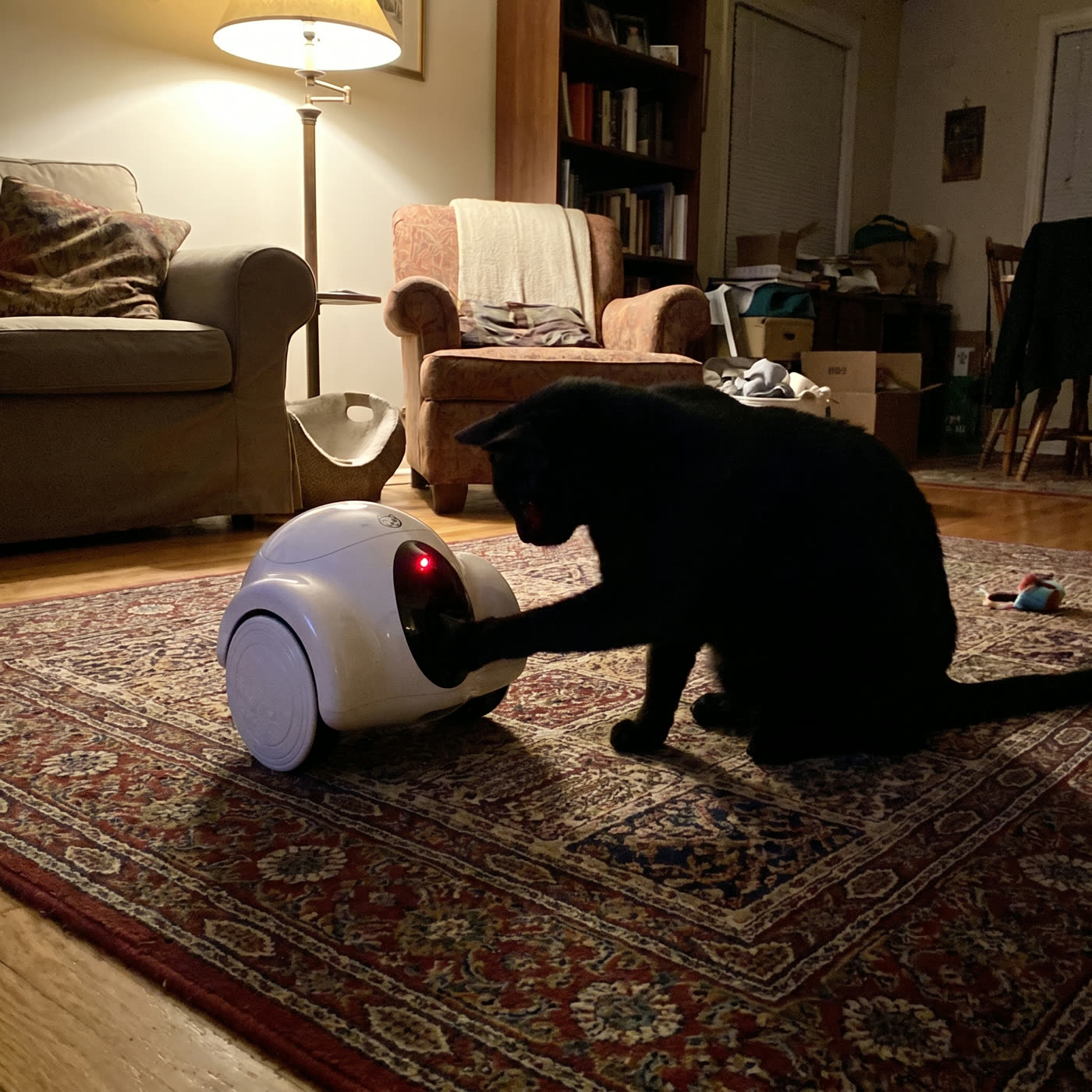 &ldquo;Bella attacks it the second it moves.&rdquo; — Marcus T.