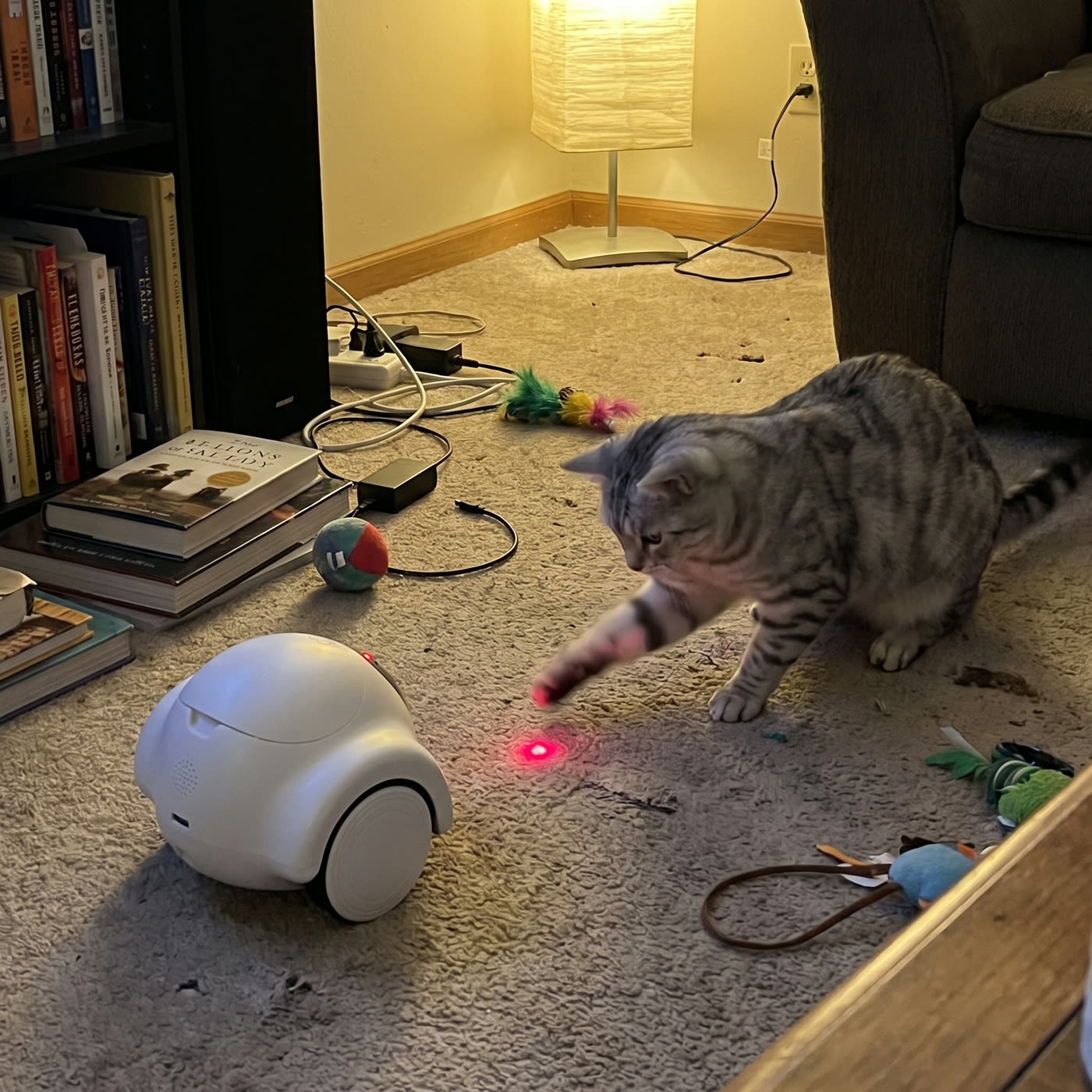 &ldquo;A little zoomie machine — my cat is way less bored.&rdquo; — Noah L.