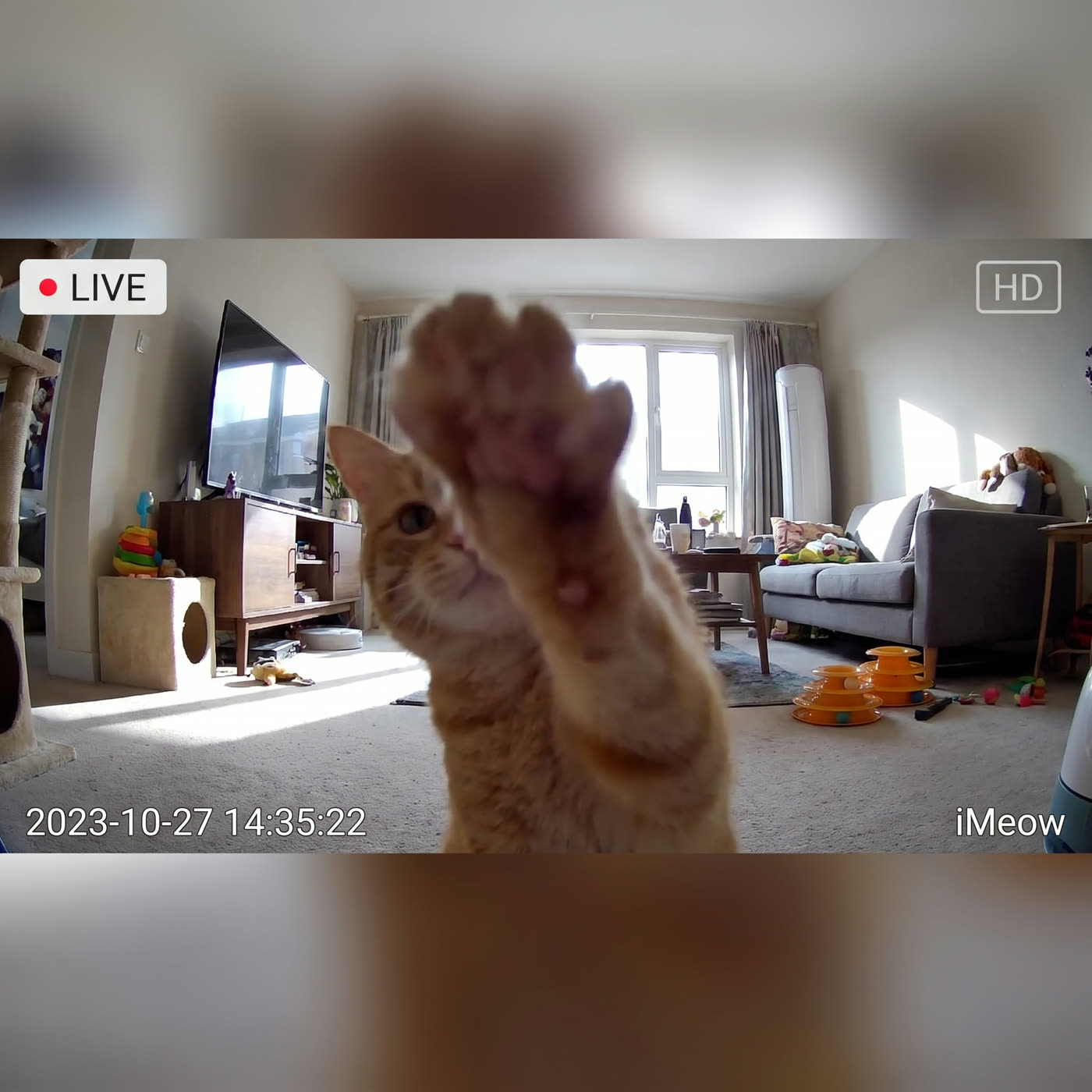 &ldquo;He tries to talk to me through the camera. I die every time.&rdquo; — Talia N.