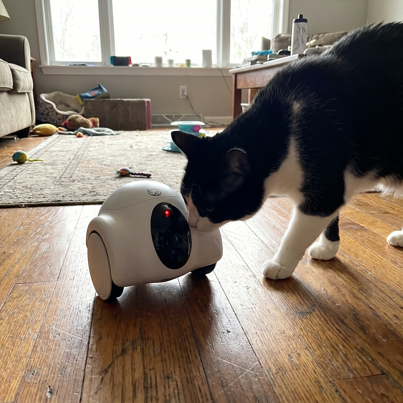 &ldquo;The laser is the whole game here — he's actually tired at night.&rdquo; — Priya N.