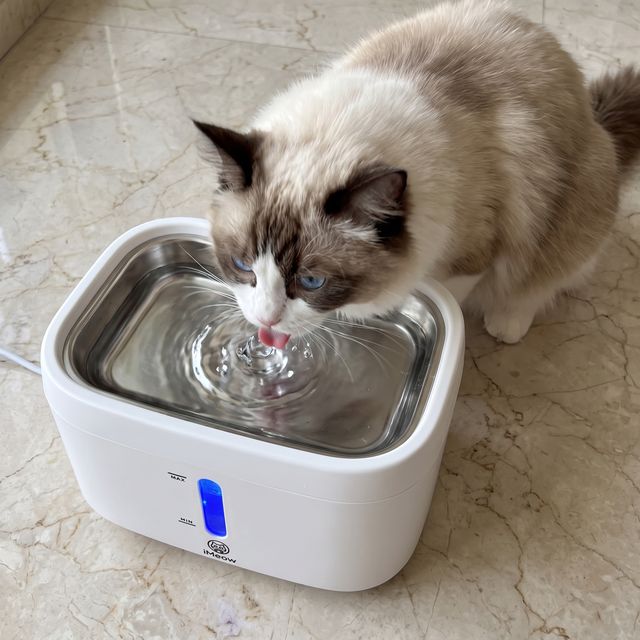&ldquo;Refill every few days and it's still spotless.&rdquo; — Faye N.