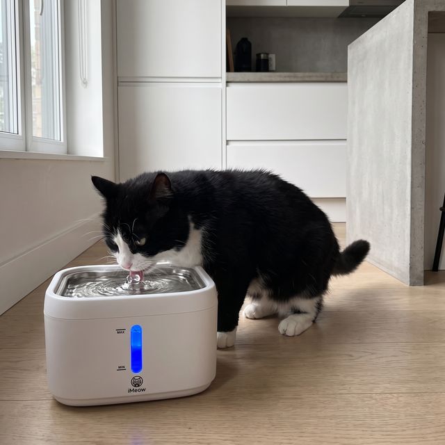 &ldquo;Vet said get her drinking more — this did it.&rdquo; — Grace H.