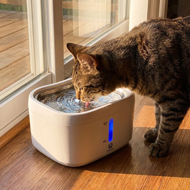 &ldquo;The cleaning reminder in the app is so handy.&rdquo; — Mei L.