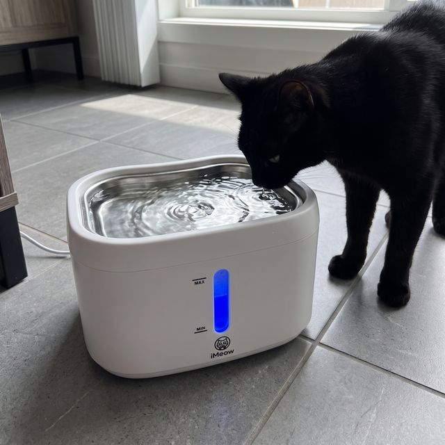 &ldquo;Bought it for my senior boy's kidneys. He drinks so much more now.&rdquo; — Tom H.