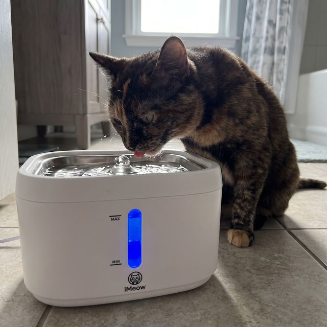 &ldquo;Finally a fountain that doesn't grow gunk.&rdquo; — Deb T.