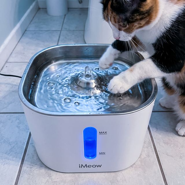 &ldquo;The water-level window is genius — I never let it run dry.&rdquo; — Kayla R.