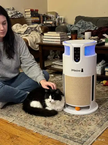 An owner petting her tuxedo cat beside the tower