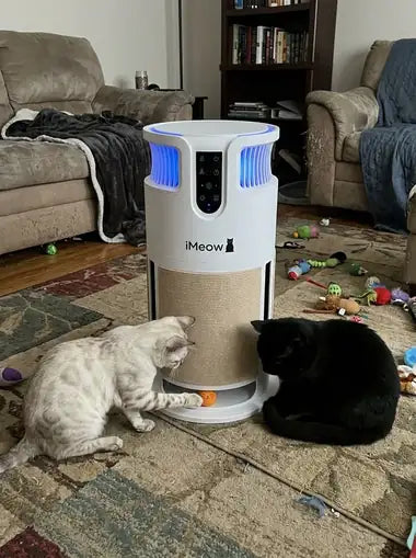 A snow bengal and a black cat either side of the tower