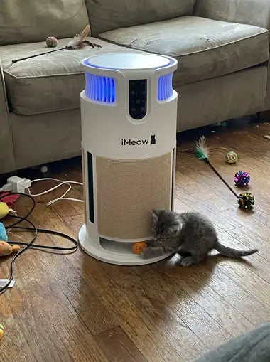 A grey kitten pawing the pom-pom out of the base