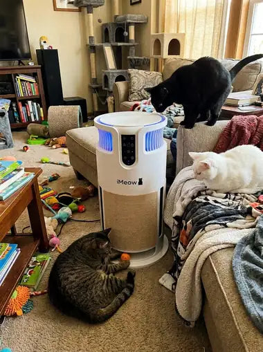 Three cats around one tower