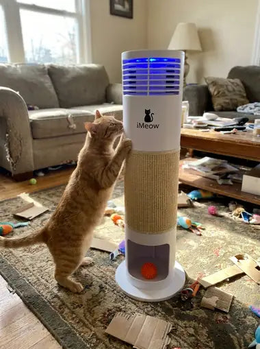 A ginger tabby up on its hind legs scratching the sisal band