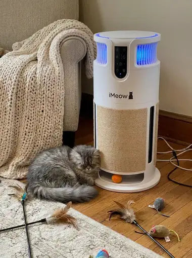A fluffy grey Persian asleep at the base of the tower