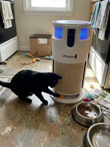 A black cat batting the pom-pom ball in the base