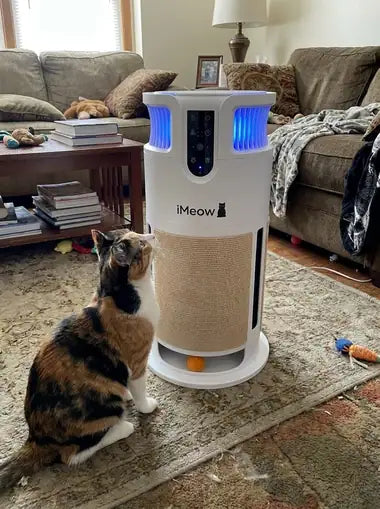 A calico looking up at the glowing top vents