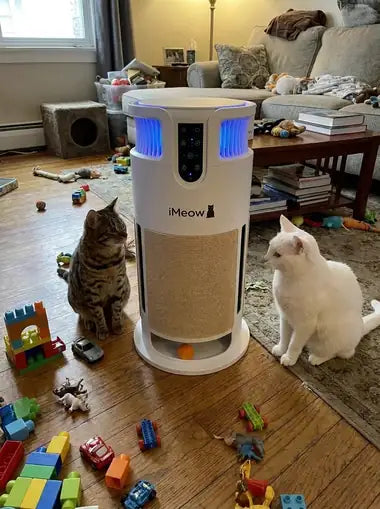 A tabby and a white cat on either side of the tower