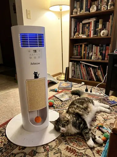 A Maine Coon stretched out beside the tower