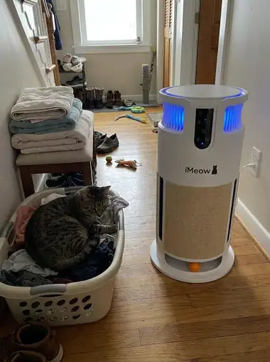 A tabby in a laundry basket beside the tower