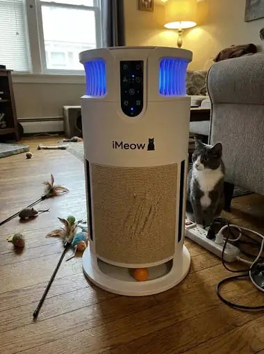A tuxedo cat sitting alert beside the tower
