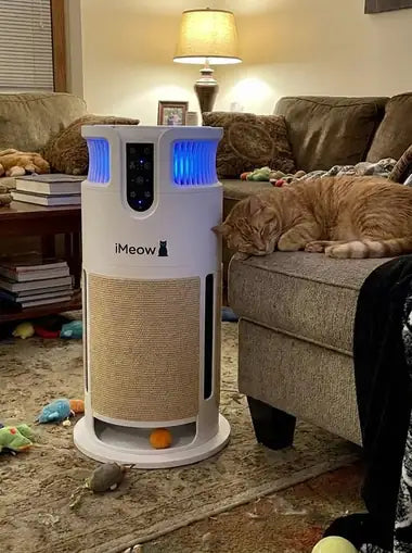An orange cat asleep on the couch arm by the tower