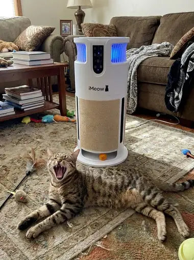 A tabby mid-stretch in front of the tower