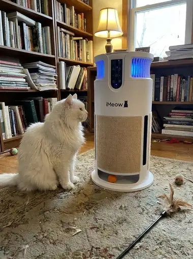 A white senior cat beside the tower in a study