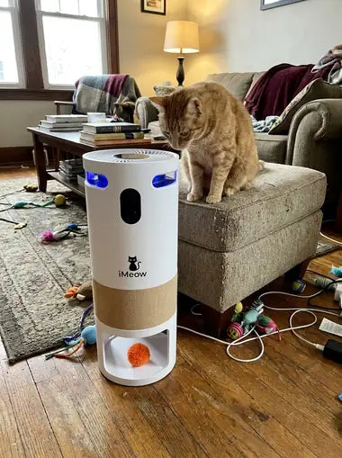 A ginger cat on an ottoman watching the tower